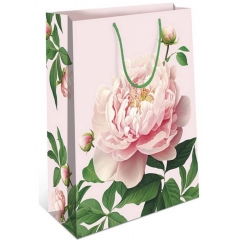 Пакет 33х42,5 см., ПИОН, "Арт&Дизайн",  РФ/пр-во:Китай Пакет 33х42,5 см., ПИОН, "Арт&Дизайн",  РФ/пр-во:Китай