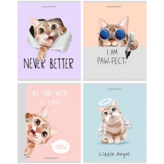 Тетрадь А5, 48л/кл. (серая бумага), "ИГРИВЫЕ КОТИКИ-1", "Remix", РФ