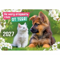 Карманный календарь 2027 "Кот и пёс",  РФ
