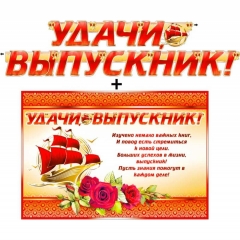 Гирлянда+плакат А2 "Удачи, выпускник!", ФДА, РФ