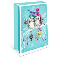 Пакет 26х32см "Совушки" (НГ), "Арт&Дизайн", РФ/ пр-во: Китай Пакет 26х32см "Совушки" (НГ), "Арт&Дизайн", РФ/ пр-во: Китай