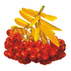 Набор украшений на скотче (10 шт.) "Рябина" (10х12 см.), "Белая Ворона", РФ