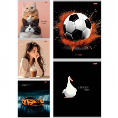 Тетрадь А5,48/кл. (белая бумага) "МИКС-3790", "Profit", РФ