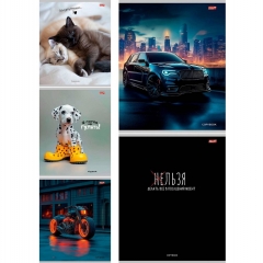 Тетрадь А5,48/кл. (белая бумага) "МИКС-3793", "Profit", РФ