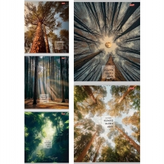 Тетрадь А5,48/кл. (белая бумага) "ПРИРОДНЫЙ МИКС", "Profit", РФ