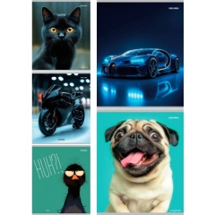 Тетрадь А5,48/кл. (белая бумага) "МИКС-4302", "Prof-Press", РФ