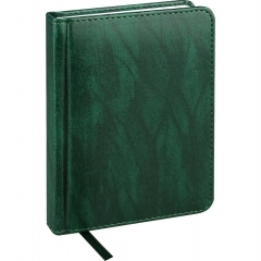 Ежедневник А6 128л, недатир. "EVERYDAY CHRONICLES - EMERALD", кожзам (зеленый), "Prof-Press", РФ Ежедневник А6 128л, недатир. "EVERYDAY CHRONICLES - EMERALD", кожзам (зеленый), "Prof-Press", РФ