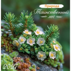Календарь перекидной на скрепке, картон, 23х23,5 см. "Таинственный лес", РФ