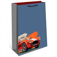 Пакет 18х22,3см., АВТО, "Арт&Дизайн", РФ/пр-во:Китай