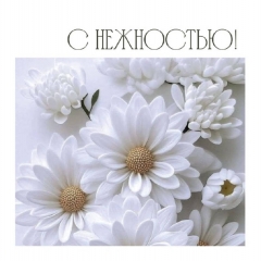 Мини-открытка в букет одинарн., 7х7см. "С нежностью!", "Стильная Открытка", РБ