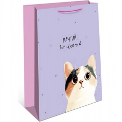 Пакет 18х22,3см., "МЕЧТАЙ. ВСЁ СБУДЕТСЯ.", "Арт&Дизайн", РФ/пр-во:Китай