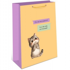 Пакет 18х22,3см., "ОЙ, КАК МНЕ НРАВИТСЯ?", "Арт&Дизайн", РФ/пр-во:Китай