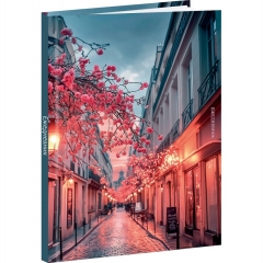 Ежедневник A5, 80 л. недатир. "ВЕЧЕРНИЕ УЛИЧНЫЕ ОГНИ", "Prof-Press", РФ Ежедневник A5, 80 л. недатир. "ВЕЧЕРНИЕ УЛИЧНЫЕ ОГНИ", "Prof-Press", РФ