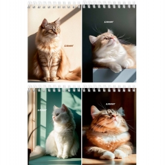 Блокнот А6, 40л./кл.,гребень, "СОЛНЕЧНЫЕ КОТИКИ" в асс., "Prof-Press", РФ Блокнот А6, 40л./кл.,гребень, "СОЛНЕЧНЫЕ КОТИКИ" в асс., "Prof-Press", РФ