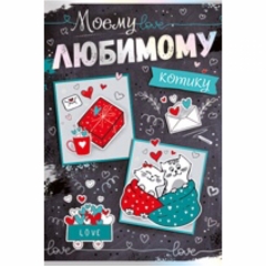 Открытка двойная А5,  фольга, Моему любимому котику, "Империя поздравлений", РФ