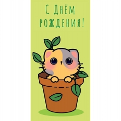 Конверт д/денег "С Днем Рождения!" (810), Арт&Дизайн. РФ