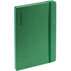 Ежедневник A5, 136 л. недатир. "BLACKPOOL - ЗЕЛЕНЫЙ", ПЭТ обложка, "Prof-Press", РФ Ежедневник A5, 136 л. недатир. "BLACKPOOL - ЗЕЛЕНЫЙ", ПЭТ обложка, "Prof-Press", РФ