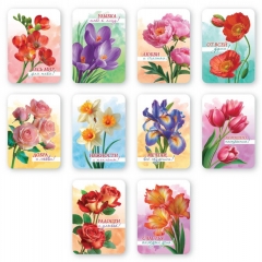 Магниты виниловые в наборе (10 шт) "Цветы.  Радости и улыбок!", РФ