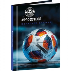 Записная книжка А7 48л., клетка, "РАЗНЫЕ ФУТБОЛЬНЫЕ МЯЧИ - 11", "Prof-Press", РФ Записная книжка А7 48л., клетка, "РАЗНЫЕ ФУТБОЛЬНЫЕ МЯЧИ - 11", "Prof-Press", РФ