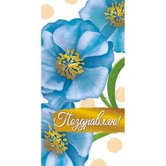 Конверт для денег "Поздравляю", ООО "Белая ворона", РФ