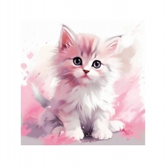 Холст с красками 20х20 по номер. в кор "Малыши-животные" (16цв) Белый котёнок, ООО "Рыжий Кот", РФ/пр-во: Китай
