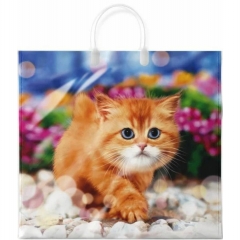 Пакет ПВД 38х35см./90мкм. (10шт), с пластик. ручкой  ПУШОК, ООО "ИНТЕРПАК",  РФ Пакет ПВД 38х35см./90мкм. (10шт), с пластик. ручкой  ПУШОК, ООО "ИНТЕРПАК",  РФ