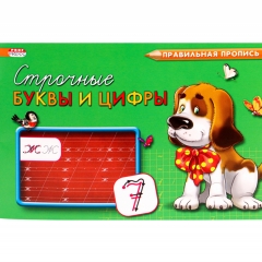 Пропись А5 8л.,  СТРОЧНЫЕ БУКВЫ И ЦИФРЫ, Prof-Press, РФ