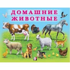 Книжка в мягкой обложке: "Учим малыша". ДОМАШНИЕ ЖИВОТНЫЕ, Фламинго, РФ
