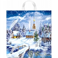 Пакет ПВД 40х42/45мкн., (25 шт/уп), с петлевой ручкой  "НГ. СНЕЖНОЕ ЦАРСТВО", ООО "ИНТЕРПАК", РФ Пакет ПВД 40х42/45мкн., (25 шт/уп), с петлевой ручкой  "НГ. СНЕЖНОЕ ЦАРСТВО", ООО "ИНТЕРПАК", РФ