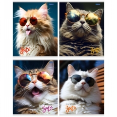 Тетрадь А5,48/кл. (белая бумага) "КОТИКИ И ОЧКИ", "Legend", РФ