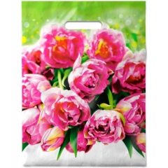 Пакет ПВД 30х40см./30мкм., (50 шт/уп) НАТЮРЕЛЬ, ООО "ИНТЕРПАК", РФ Пакет ПВД 30х40см./30мкм., (50 шт/уп) НАТЮРЕЛЬ, ООО "ИНТЕРПАК", РФ