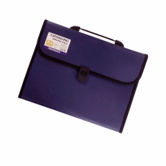 Папка-портфель А4, на 12 отделений, СИНИЙ, Китай