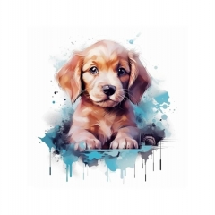 Холст с красками 20х20 по номер. в кор "Малыши-животные" (16цв) Красочный пёсик, ООО "Рыжий Кот", РФ/пр-во: Китай