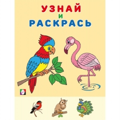 Узнай и раскрась. ФЛАМИНГО,  "Фламинго", РФ